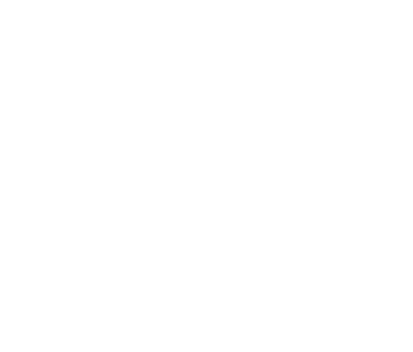 Expand your decisions and grow your business
